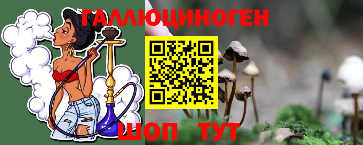 Галлюциногенные грибы Magic Shrooms  Вход с VPN  Урус-Мартан  Псилоцибиновые грибы Psilocybe 